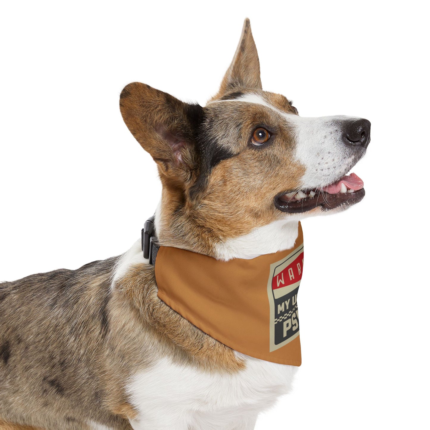 USAFA Pet Bandana Collar
